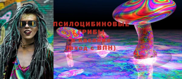 соль ск Балабаново