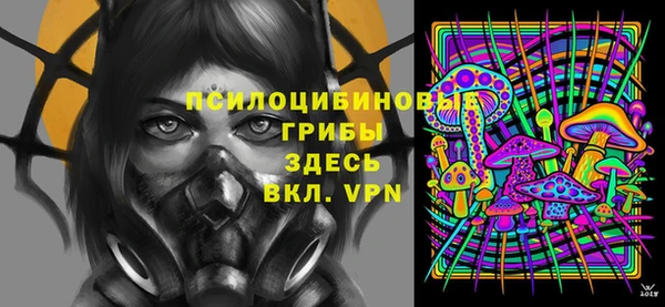 дмт Балахна