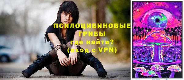 дмт Балахна