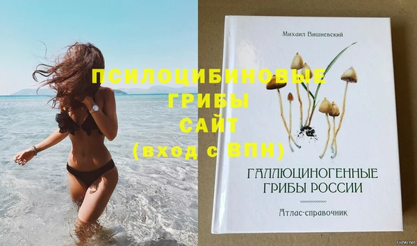 соль ск Балабаново